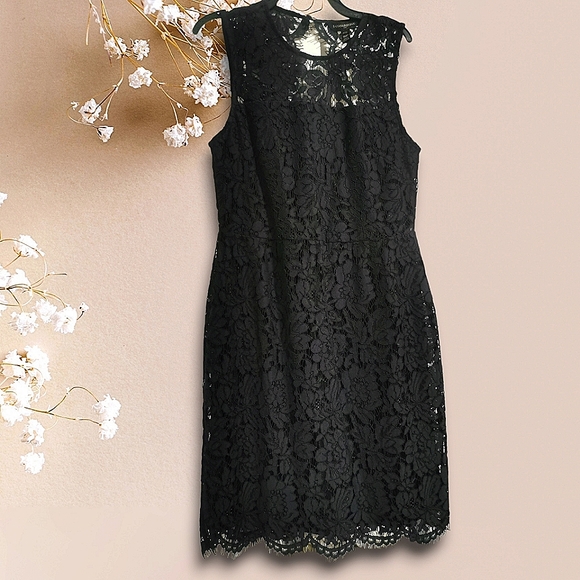 BNWT Banana Republic dark navy lace shift dress 00P - Picture 1 of 3